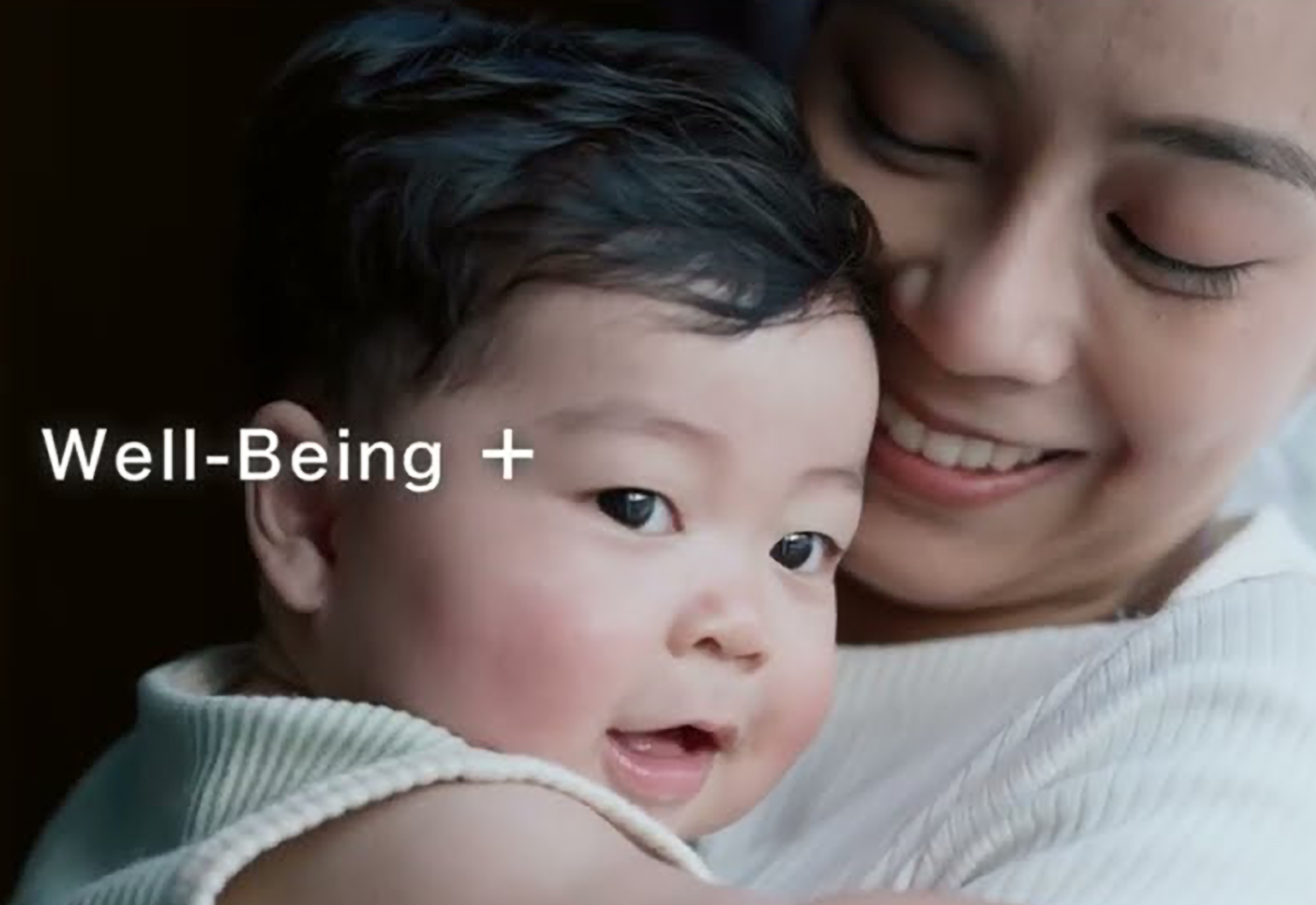 会社紹介動画はこちら